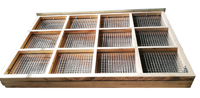 TQLZ篩格.png TQLZ篩格.png